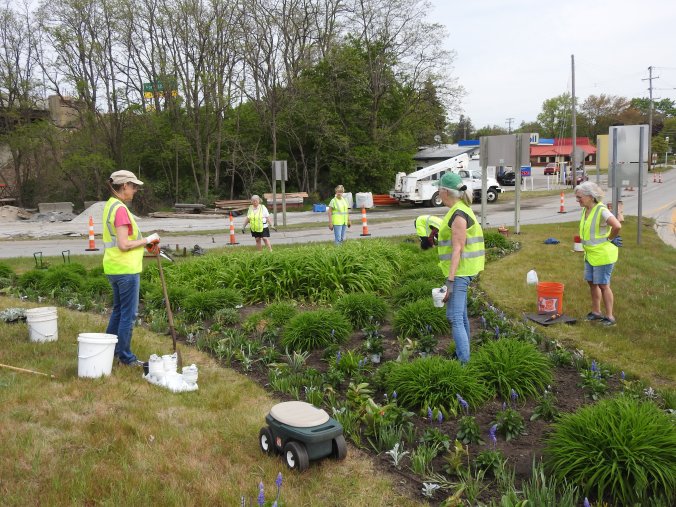 Triangle Garden Spring Planting 2021