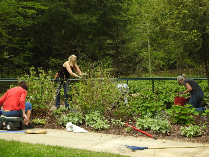 Weaver House Spring Planting 2021